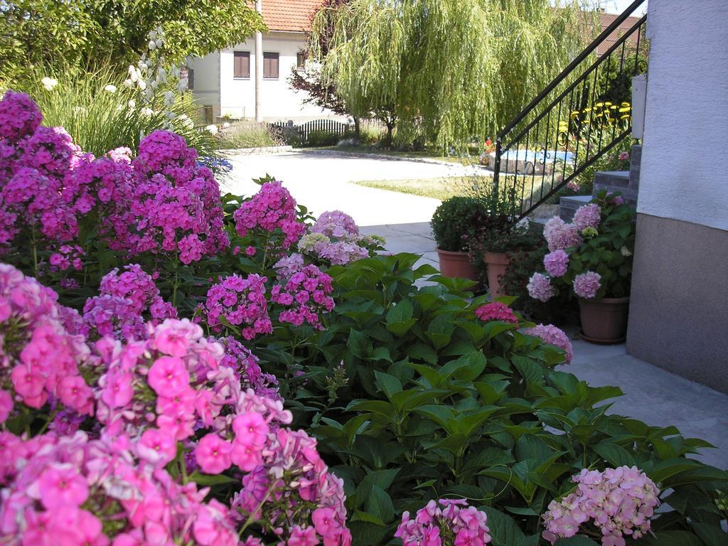Guesthouse Vila Slunj Exterior foto